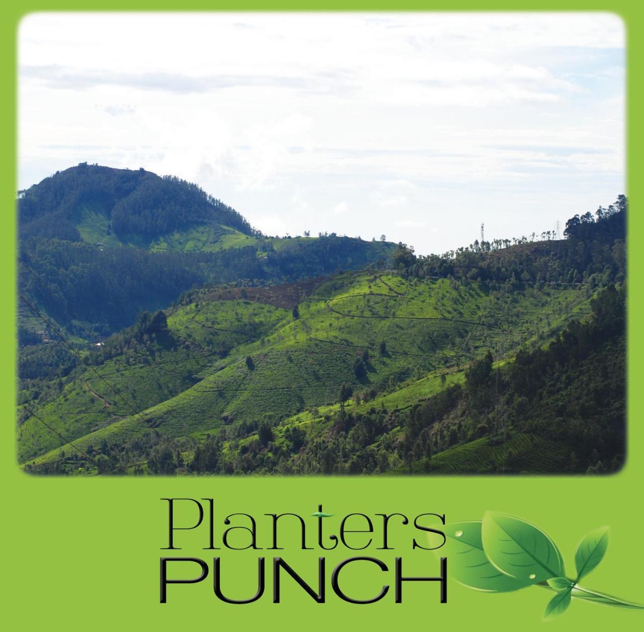 Planters Punch Villa Ooty Esterno foto