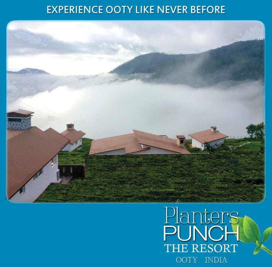 Planters Punch Villa Ooty Esterno foto