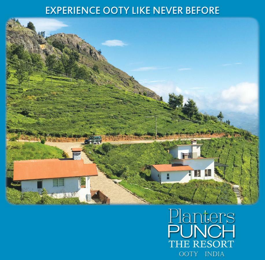 Planters Punch Villa Ooty Esterno foto