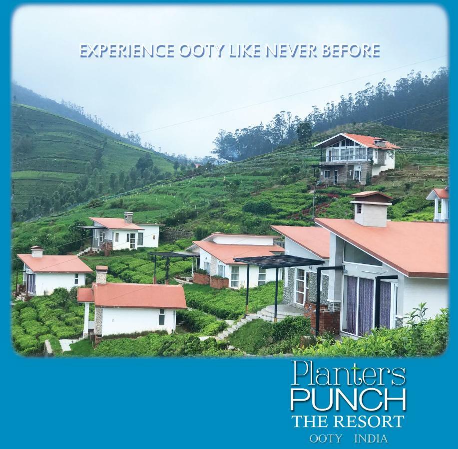 Planters Punch Villa Ooty Esterno foto