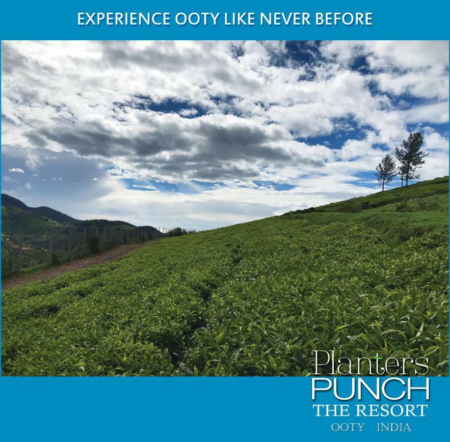 Planters Punch Villa Ooty Esterno foto