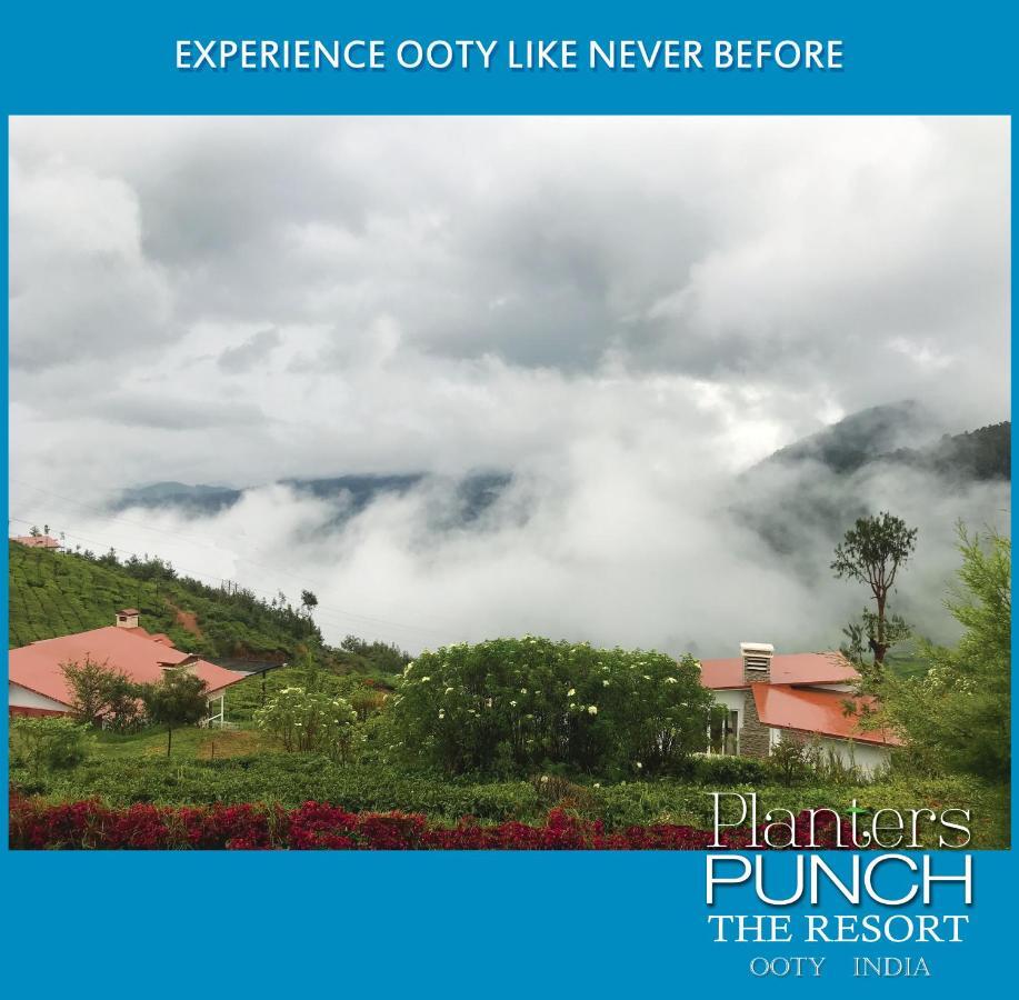 Planters Punch Villa Ooty Esterno foto